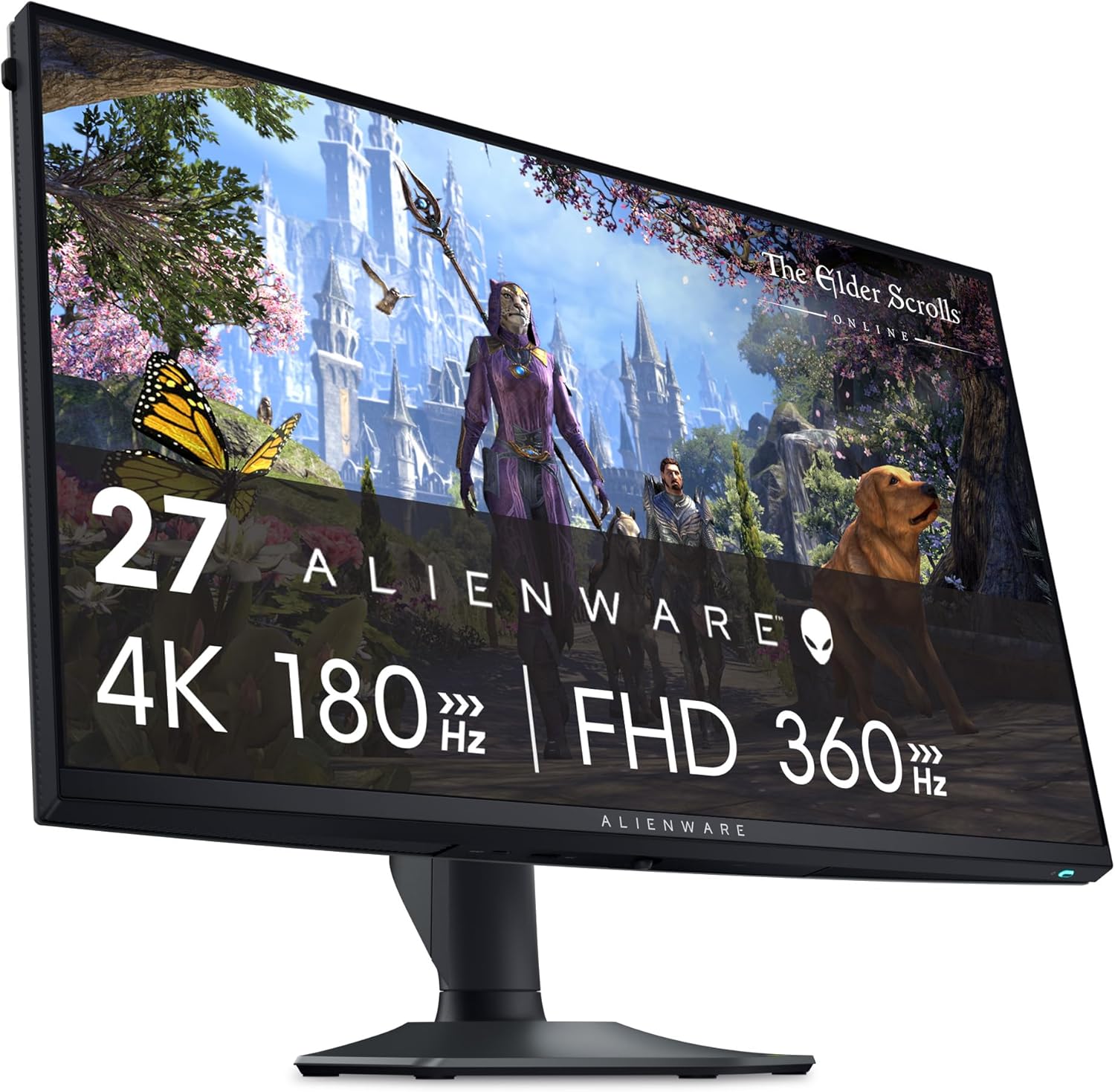monitor