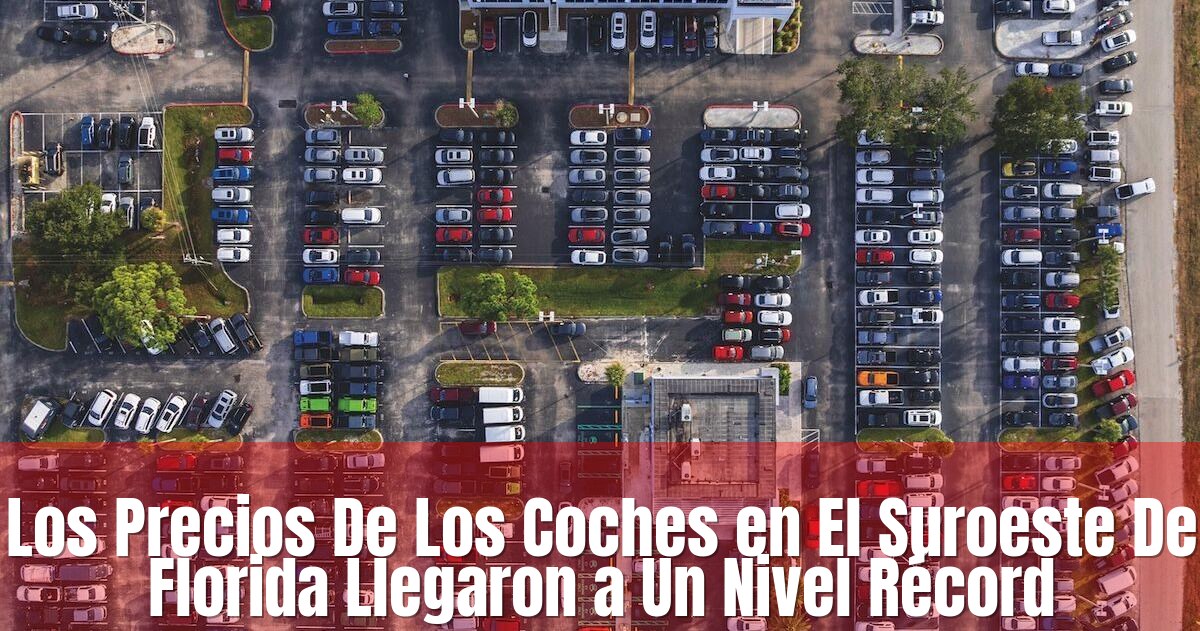 6920cb12bb022.image (title Overlay)