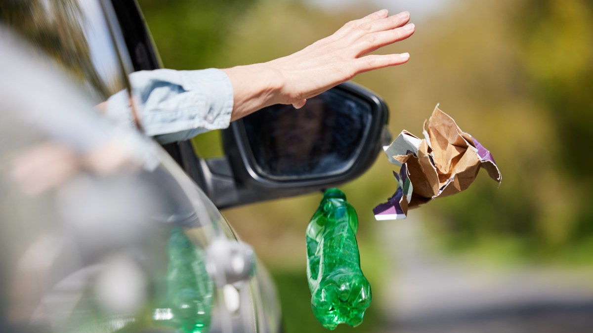 2f3299de85 2f07 44c4 97b1 A73a1d597f13.jpg