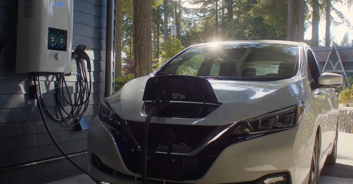 Dcbel Leaf No Overlay 1920 F2b17406bb20092aac62244cca9ccc2f.jpg