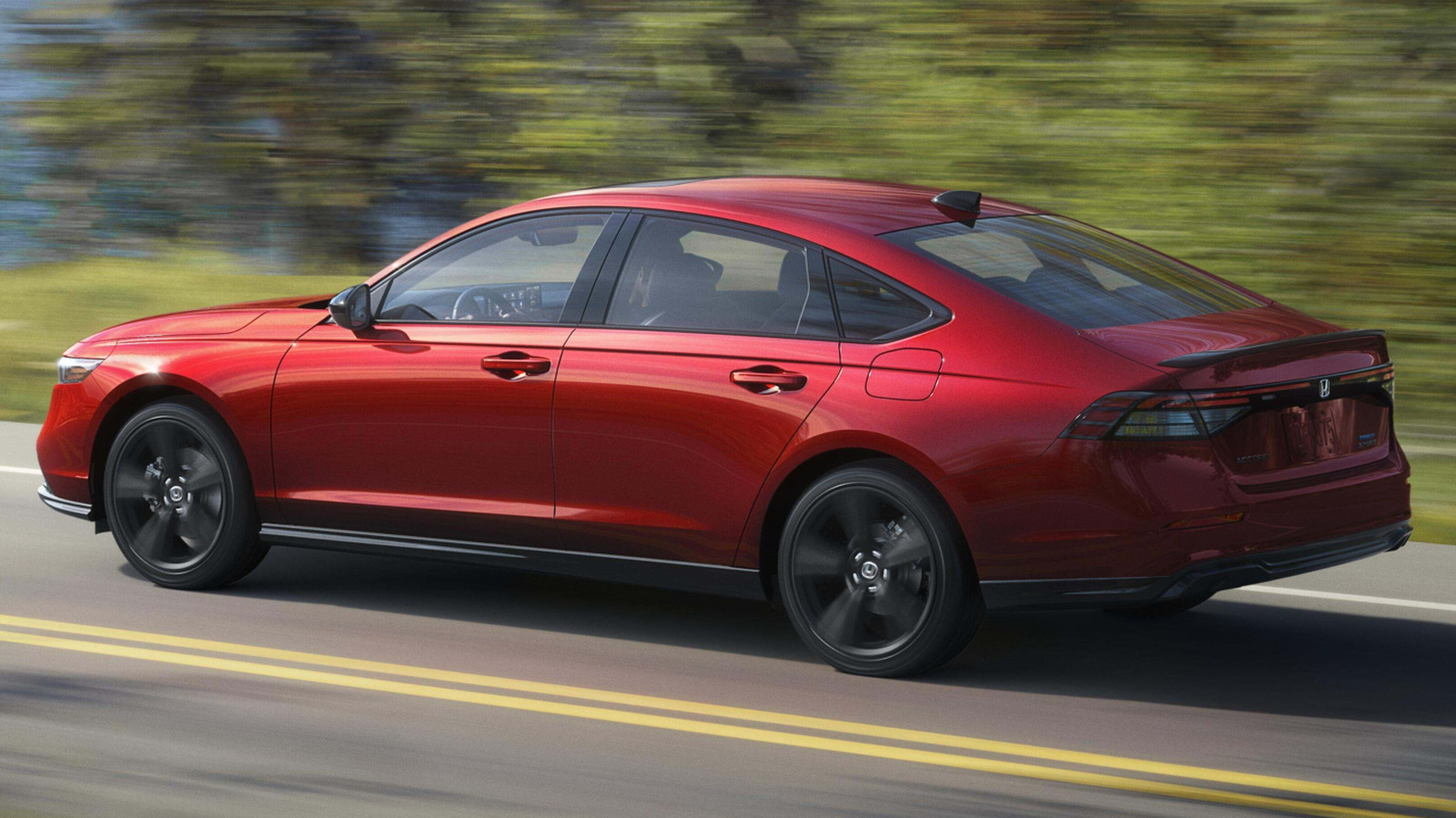 L Intro 1769788000.jpg