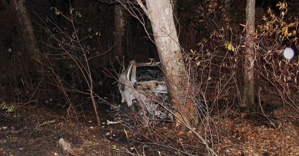 1x 1 E1770397362893.webp.jpeg