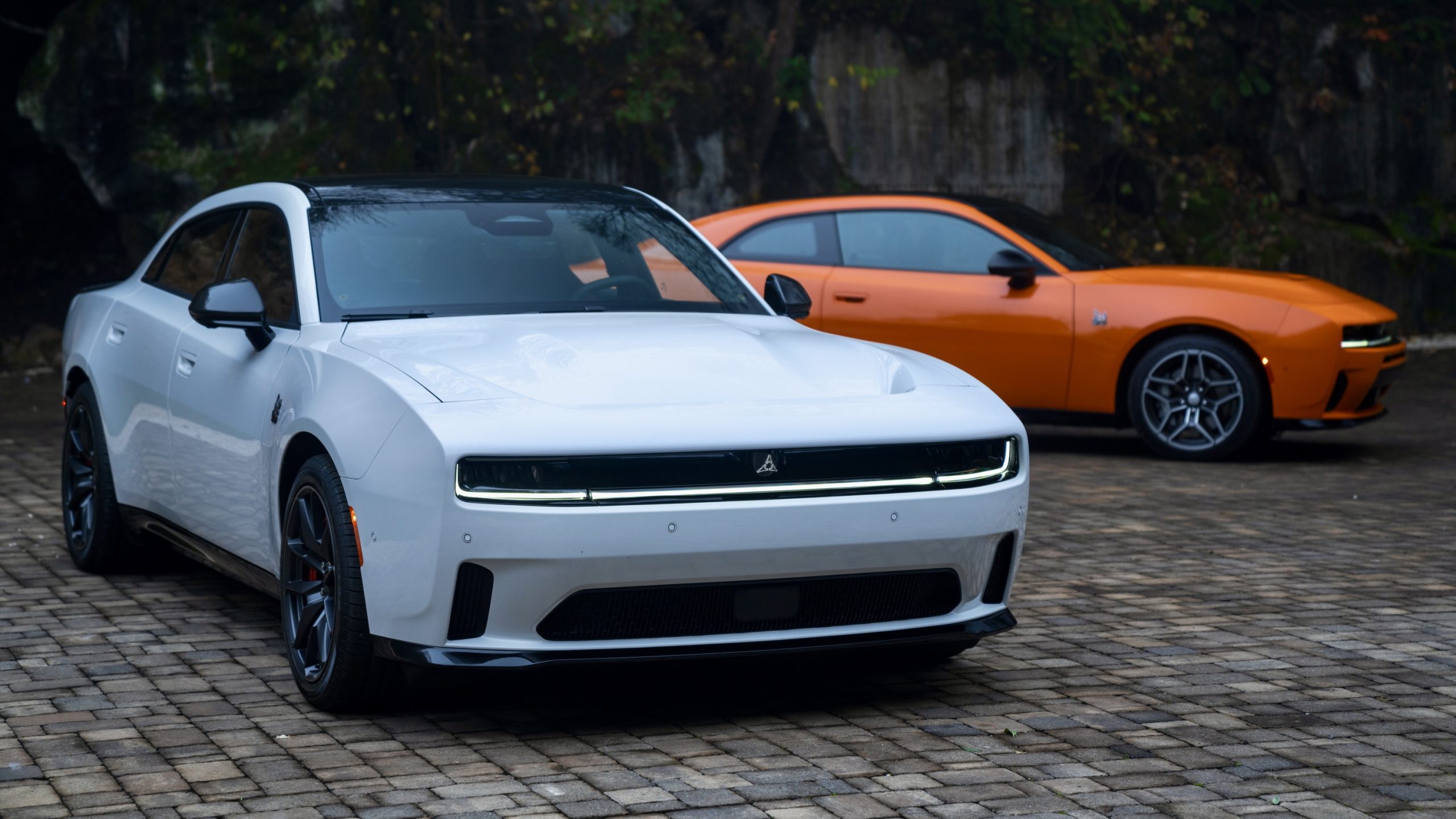 Dg026 286ch Scaled.jpeg