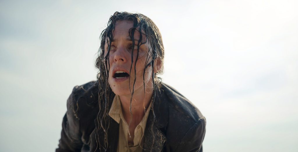 Mcdsehe Wd019 E1770418356812.jpg