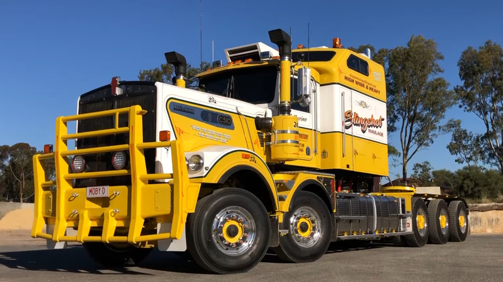 L Intro 1770052366.jpg