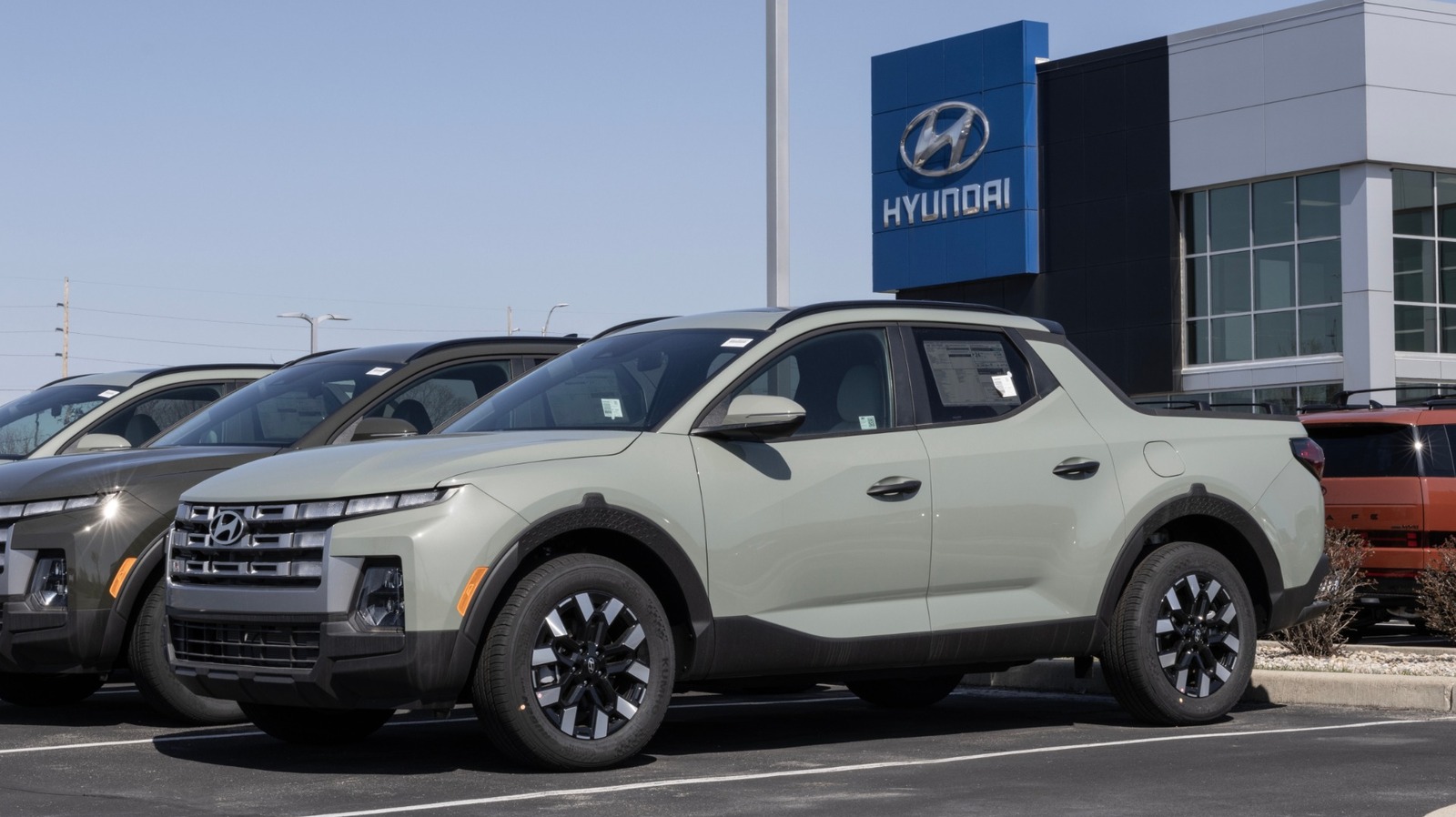 L Intro 1770152040.jpg