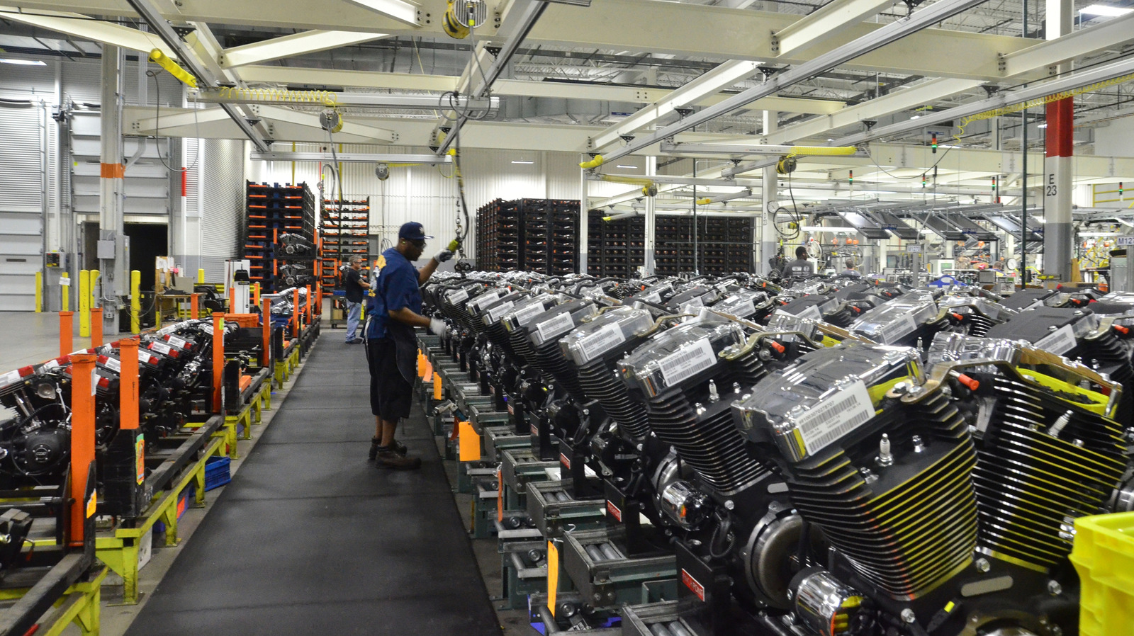 L Intro 1771335009.jpg