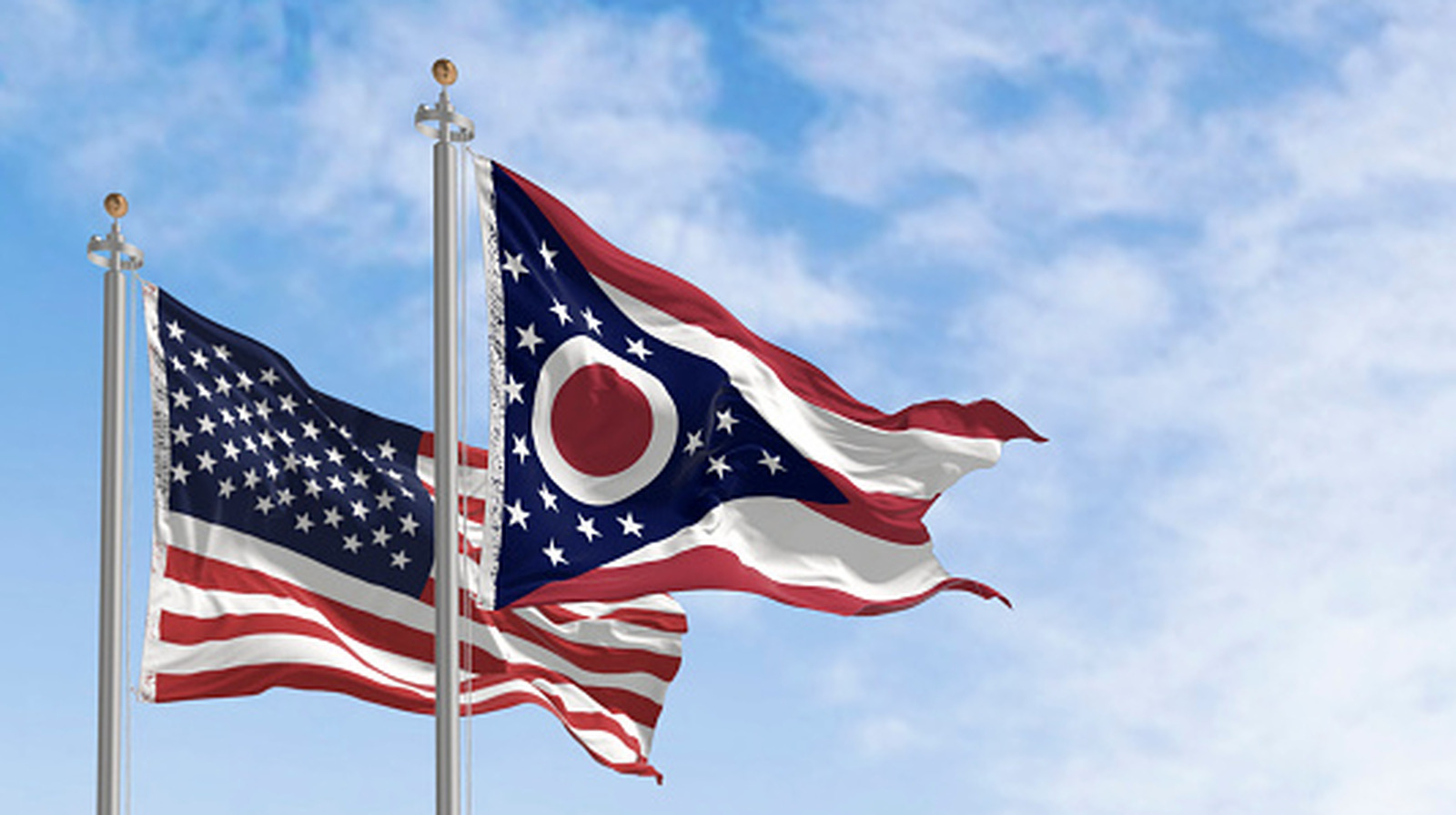 L Intro 1771365304.jpg