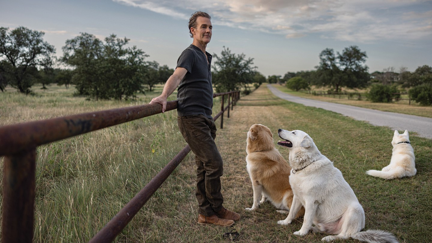 4 Dogs 0358 Splash 2026.jpg