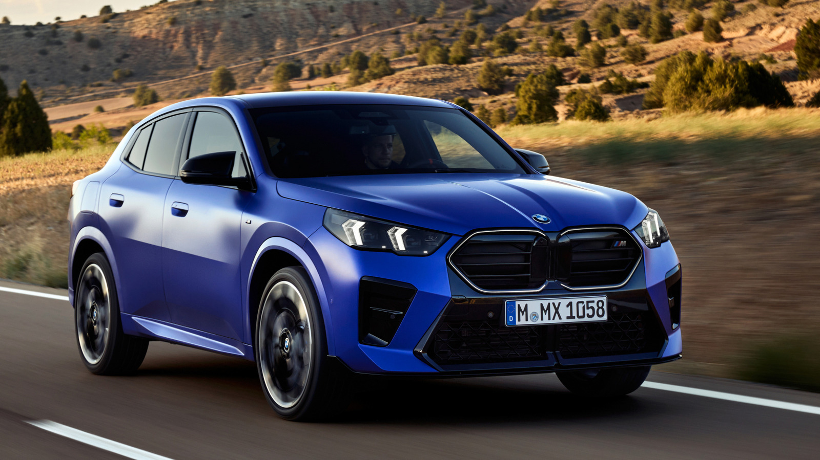 L Intro 1771505701.jpg