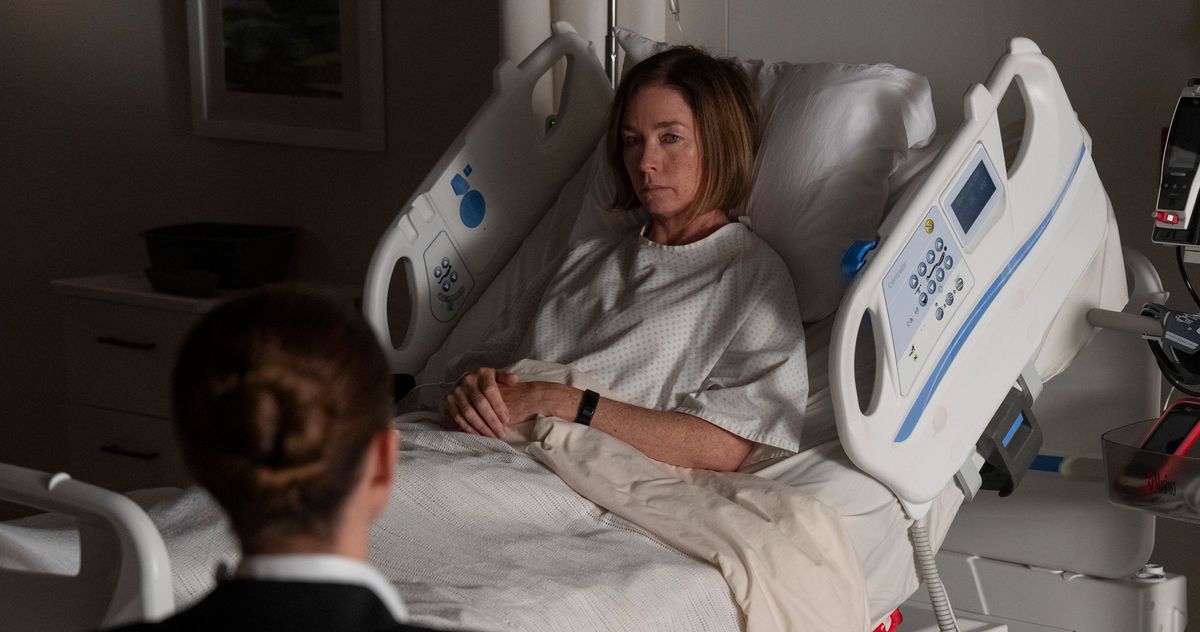 90abc63c5cbc01bb0181cebbc494950e18 Paradise 3.1x.rsocial.w1200.jpg