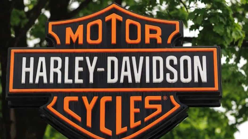 9ea7ce60 428c 43fb 97fe C5c558b34c45.jpg