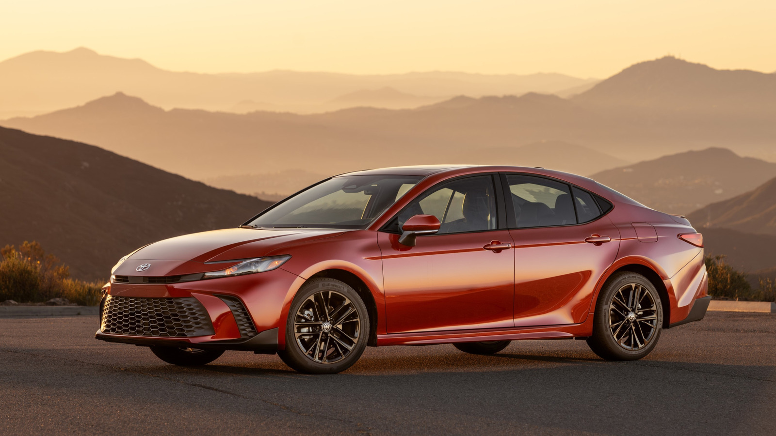 L Intro 1771862277.jpg