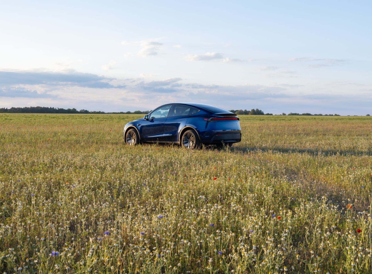 Model Y Country.jpg