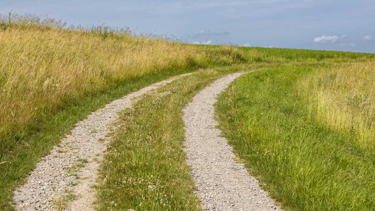 Gettyimages 2251234612 1 69a57e4c1a34a.jpg