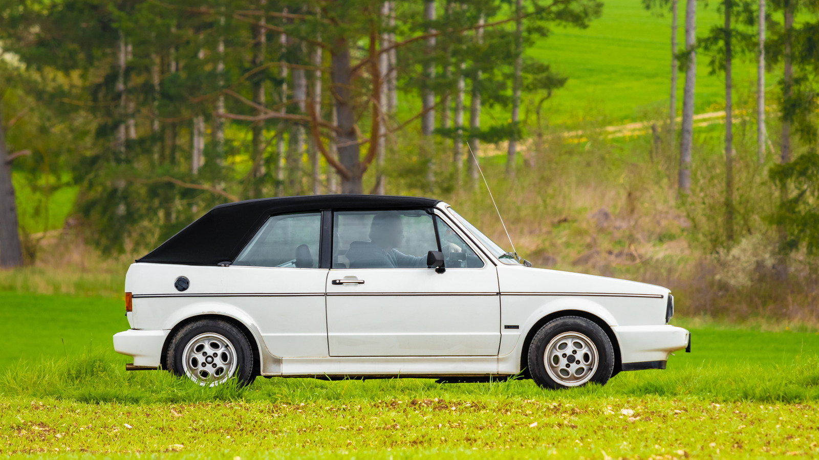 L Intro 1772582528.jpg