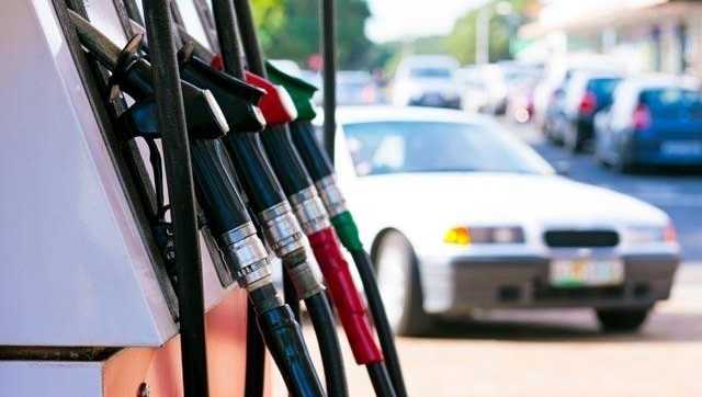 10539104 10539104.jpg