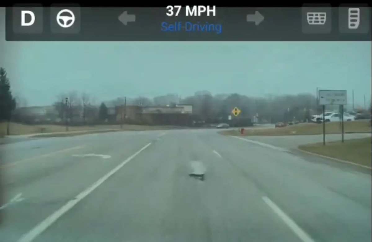 Tesla Fsd Pot Holes.jpg