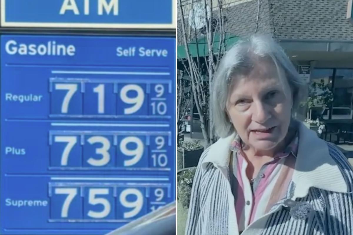 Newspress Collage 4i9it5uuf 1773431960502.jpg