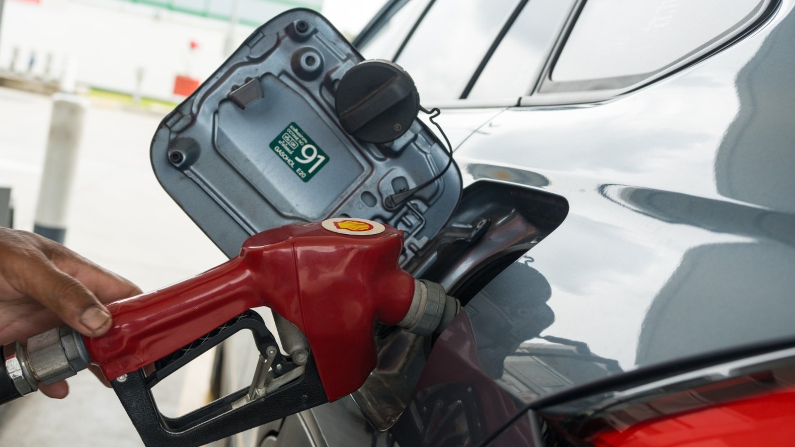 L Intro 1773441901.jpg