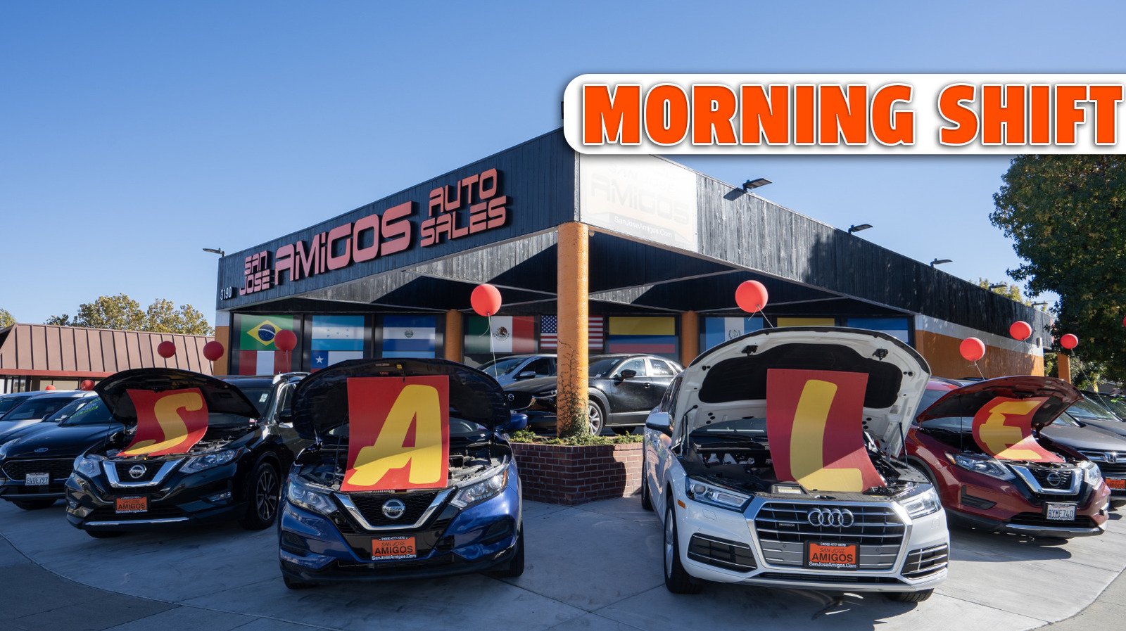 L Intro 1763133681.jpg