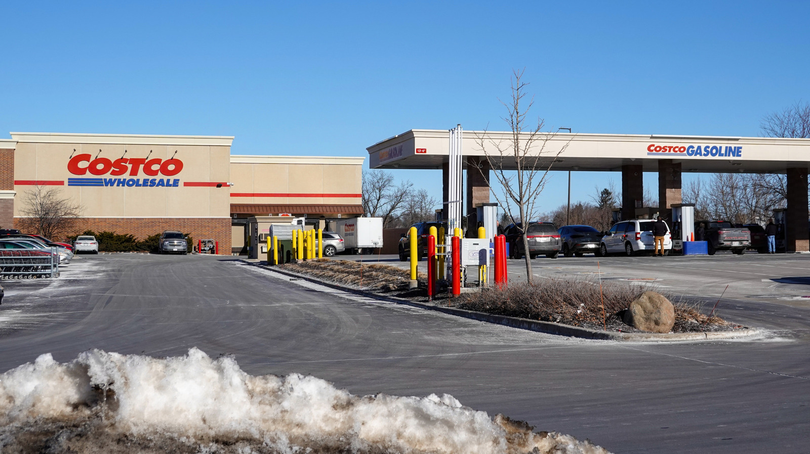 L Intro 1773755982.jpg