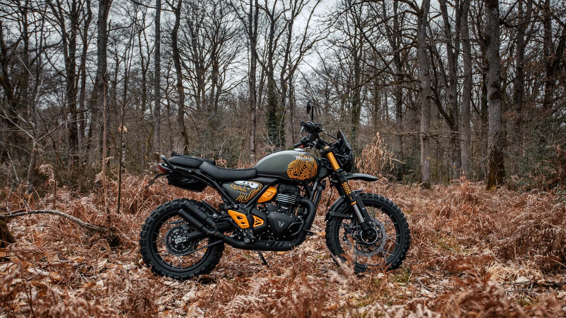 Lcr Originals Packshot Escape Triumph Scrambler 400xc.jpg