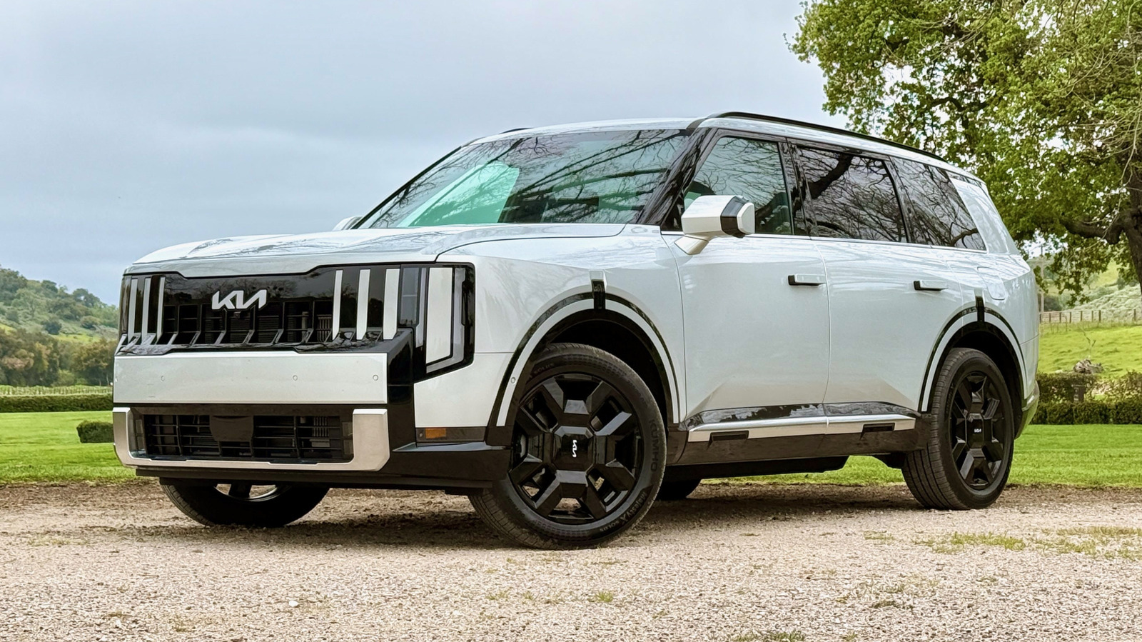 L Intro 1773732989.jpg