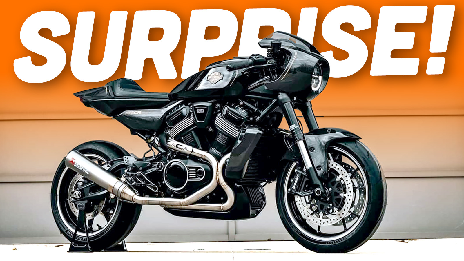 Surprise Harley Ts Copy.png