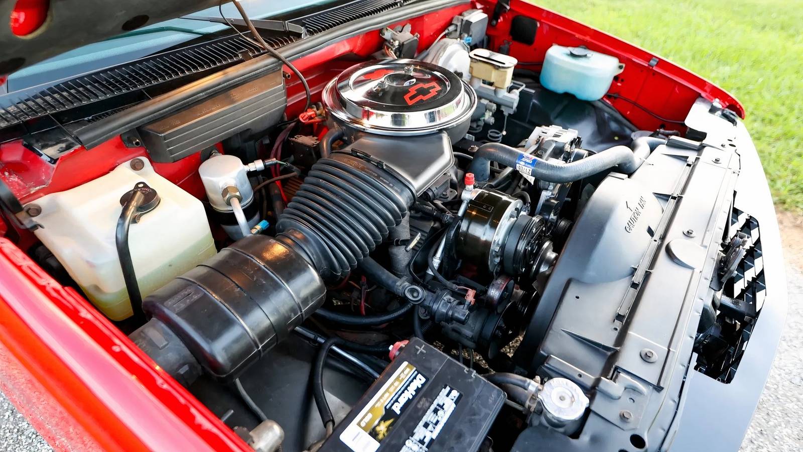 Cropped 8u1a7257 25101 Scaled.jpg