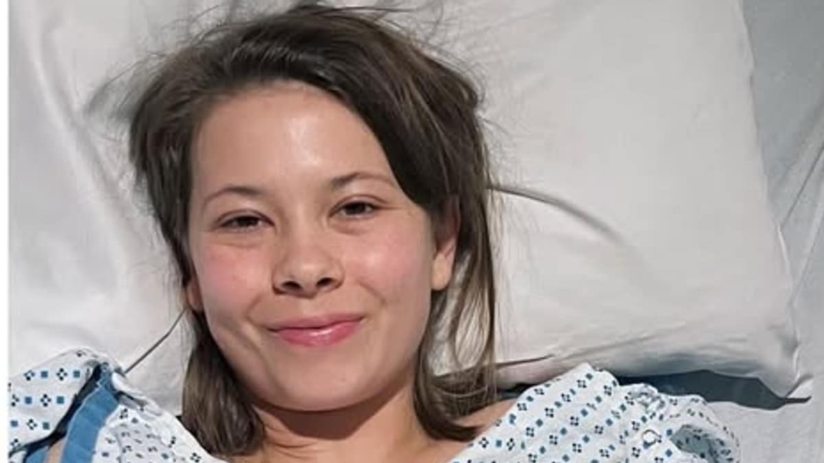 85001306dee4 Saveclipapp656856113185682886780309536874646425148336371n.jpg