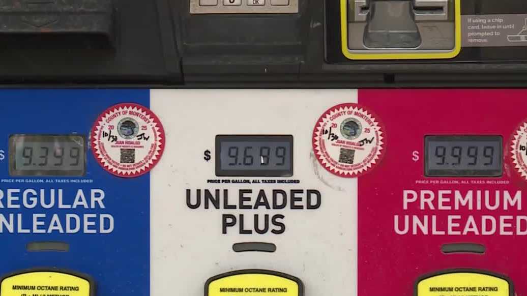 Acfad949 2738 4bbb 81c9 E0e5b5ce07a6.jpg