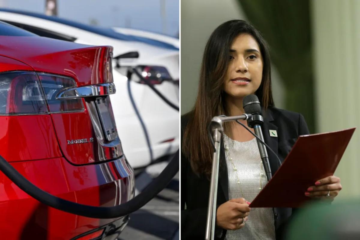 Newspress Collage Rcgr5qube 1775166183334.jpg