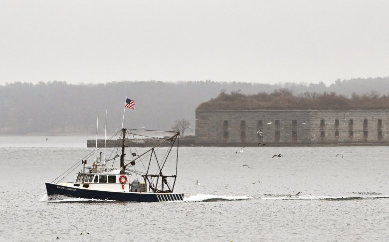 43371363 20260115 Feature002.jpg