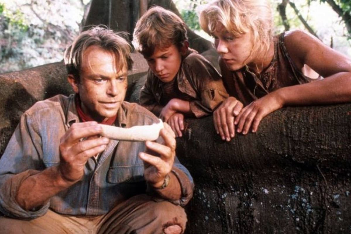 Sam Neill El Actor Que Interpreto Al Paleontologo 2ekrvtqsezfn3g4gj45sci7imu.jpg