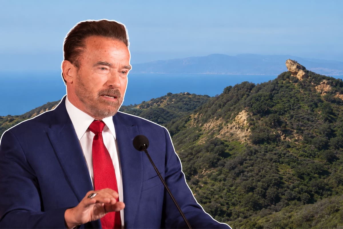 Arnold Schwarzenegger Y Betty Weider Donaron Gcknuobh6ndatomwgql3zv2vwi.png